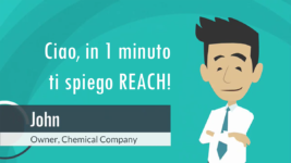 Comprendere il regolamento REACH