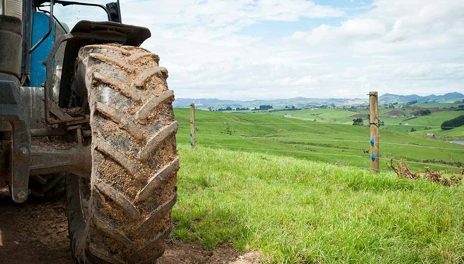 Le sostanze chimiche nell’agricoltura