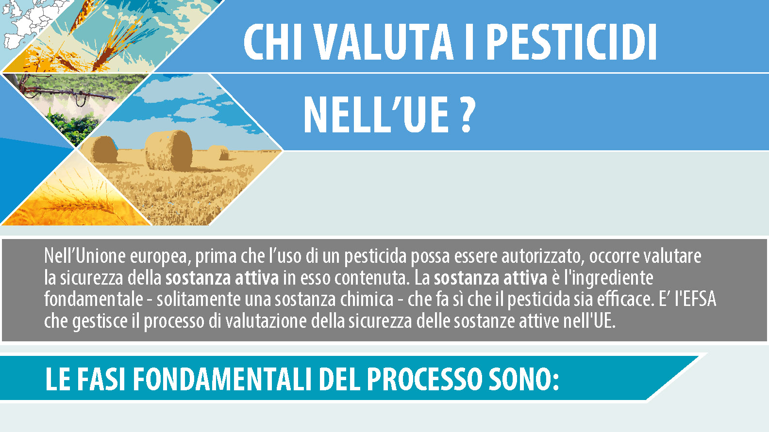 Chi valuta i pesticidi nell’UE, spiegato bene in un’infografica di EFSA