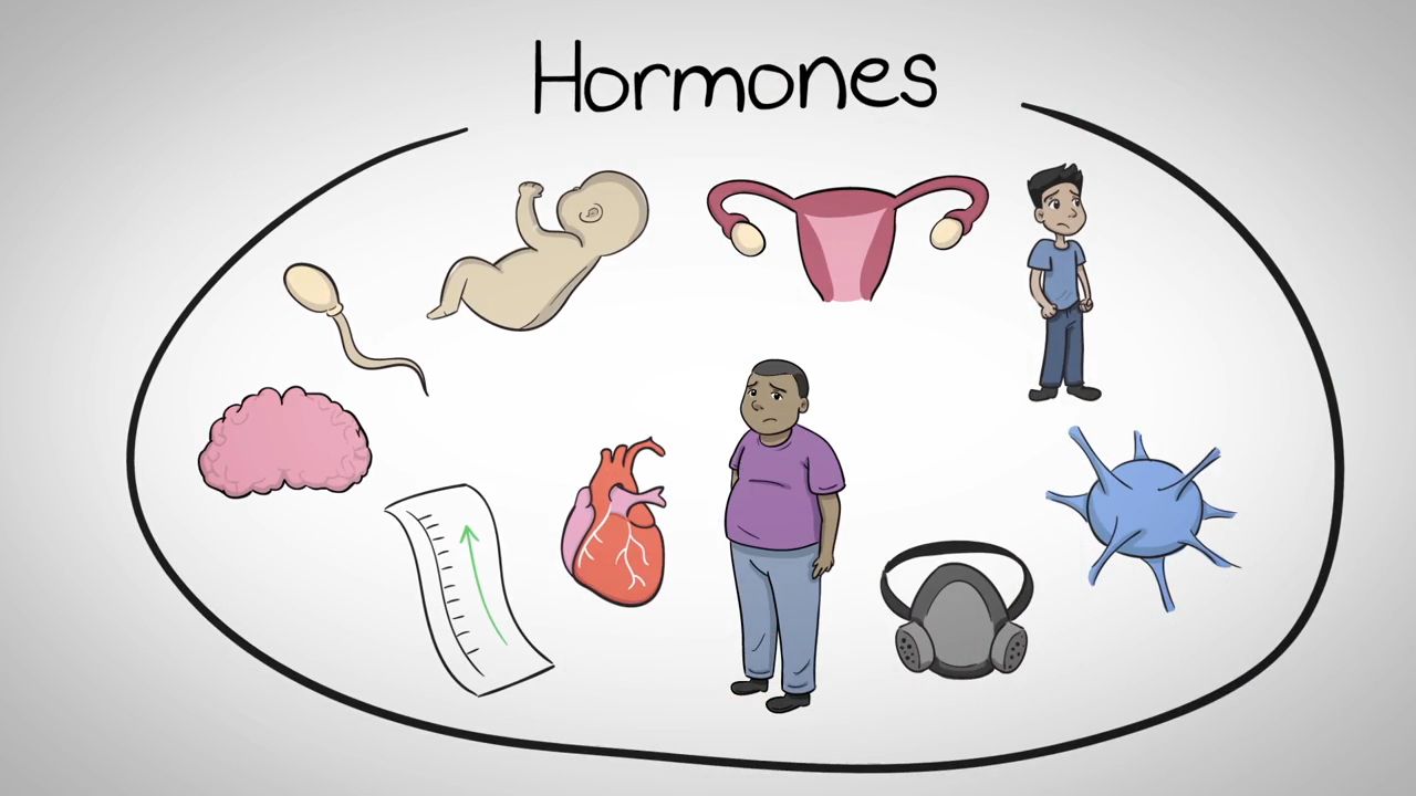 Pubblicate linee guida per individuare interferenti endocrini