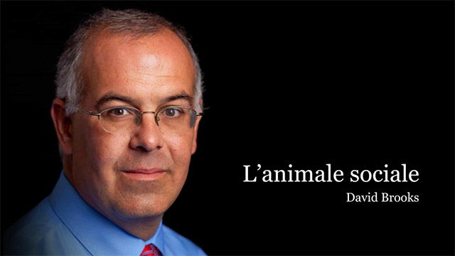 Off-topic: l’animale sociale