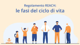 Regolamento REACH: le fasi del ciclo di vita, spiegate bene