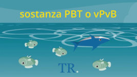 Sostanze PBT e vPvB, spiegate bene