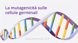 La mutagenicità sulle cellule germinali, spiegata bene