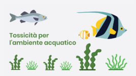 Tossicità per l’ambiente acquatico, alcune cose da sapere