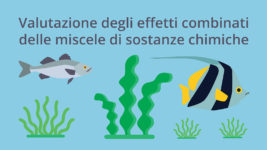 Diapositive del workshop “Valutazione degli effetti combinati delle miscele di sostanze chimiche”